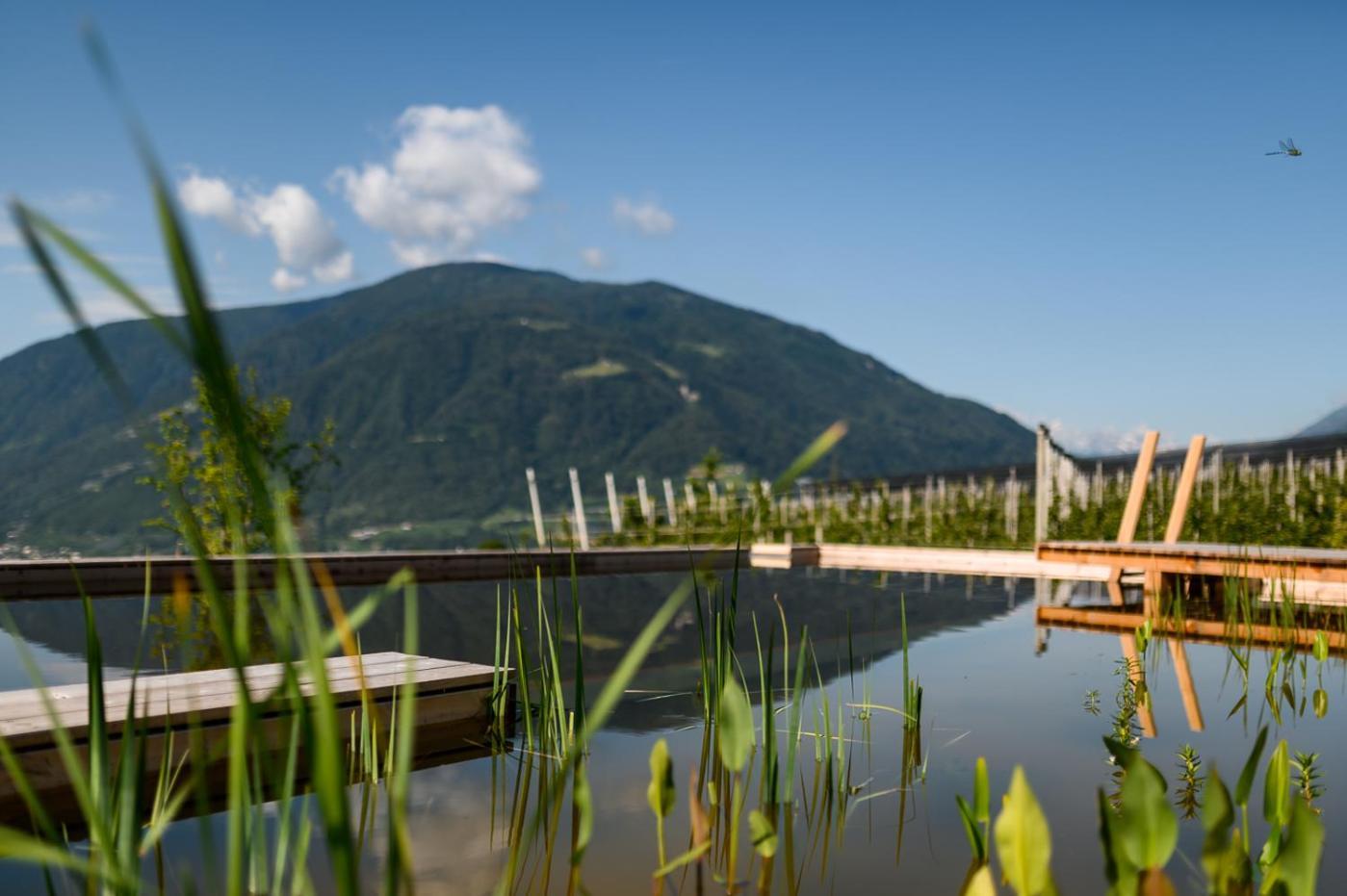 Pataunerhof Tirol ภายนอก รูปภาพ