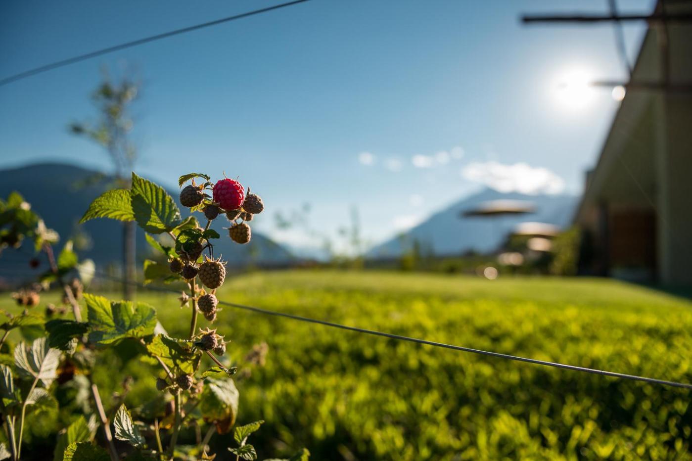 Pataunerhof Tirol ภายนอก รูปภาพ